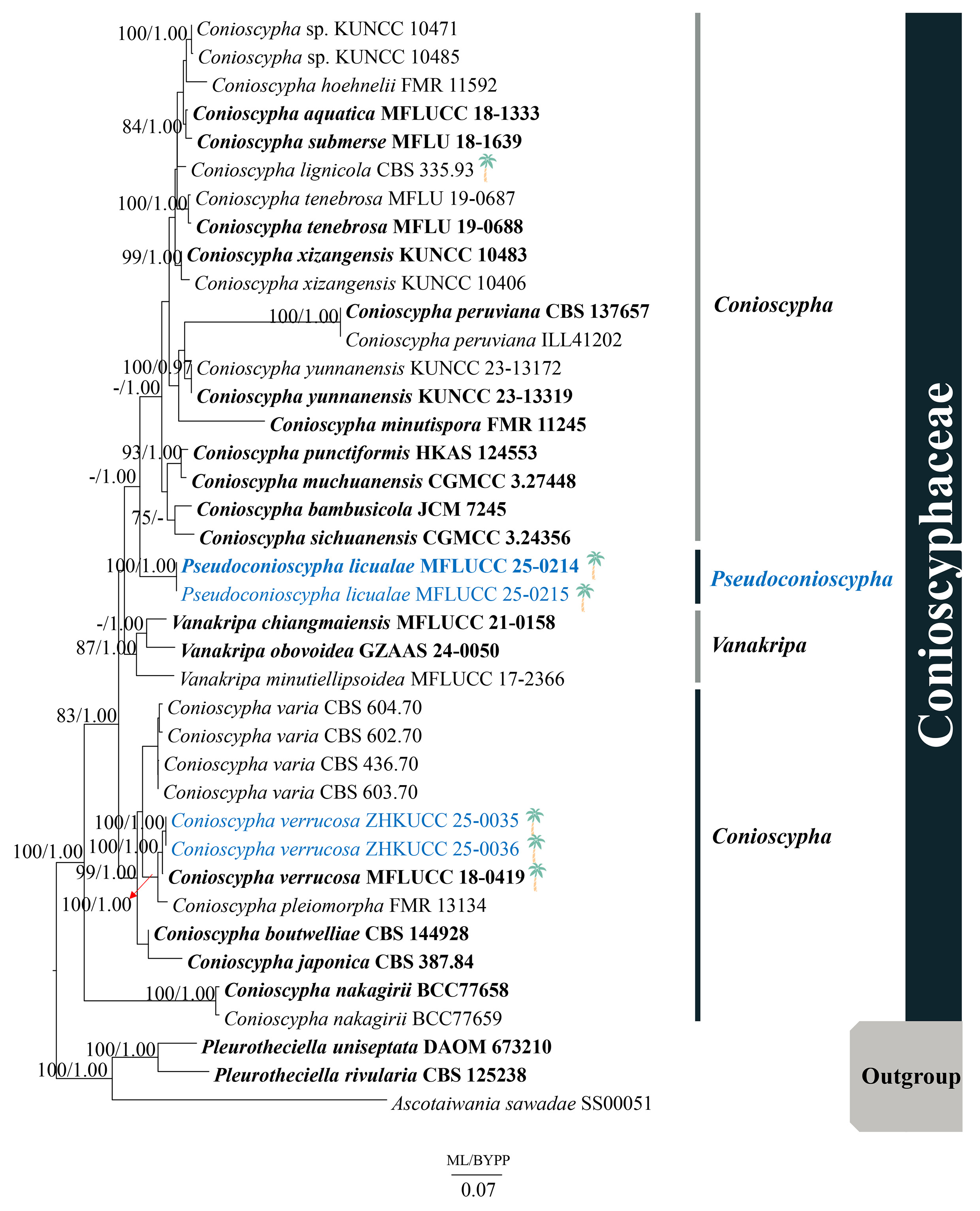 Figure 75